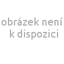 Obrázek pro produkt Pánské tílko Breeze bílé  L